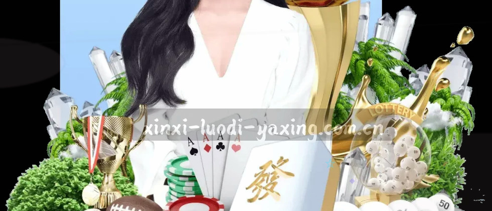 隐私保障与数据权益说明